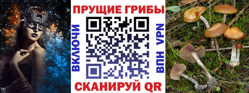 Галлюциногенные грибы Psilocybine cubensis площадка формула Россошь